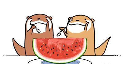 娱乐吃瓜蜀黍广告语